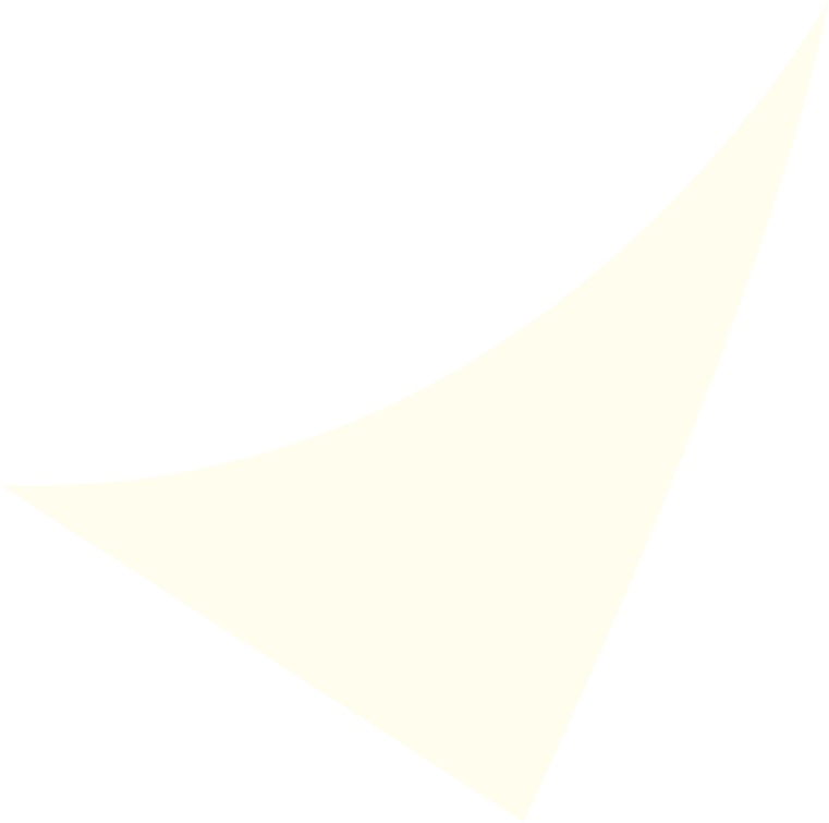 ゾロ